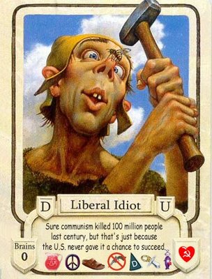 Liberal Idiot